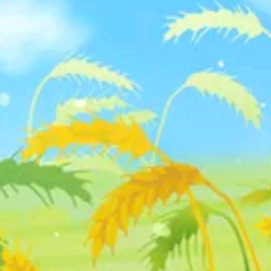 🍊 子群