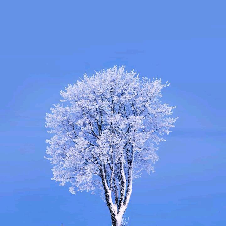 $龍謌131