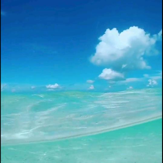 以梦为马@英子