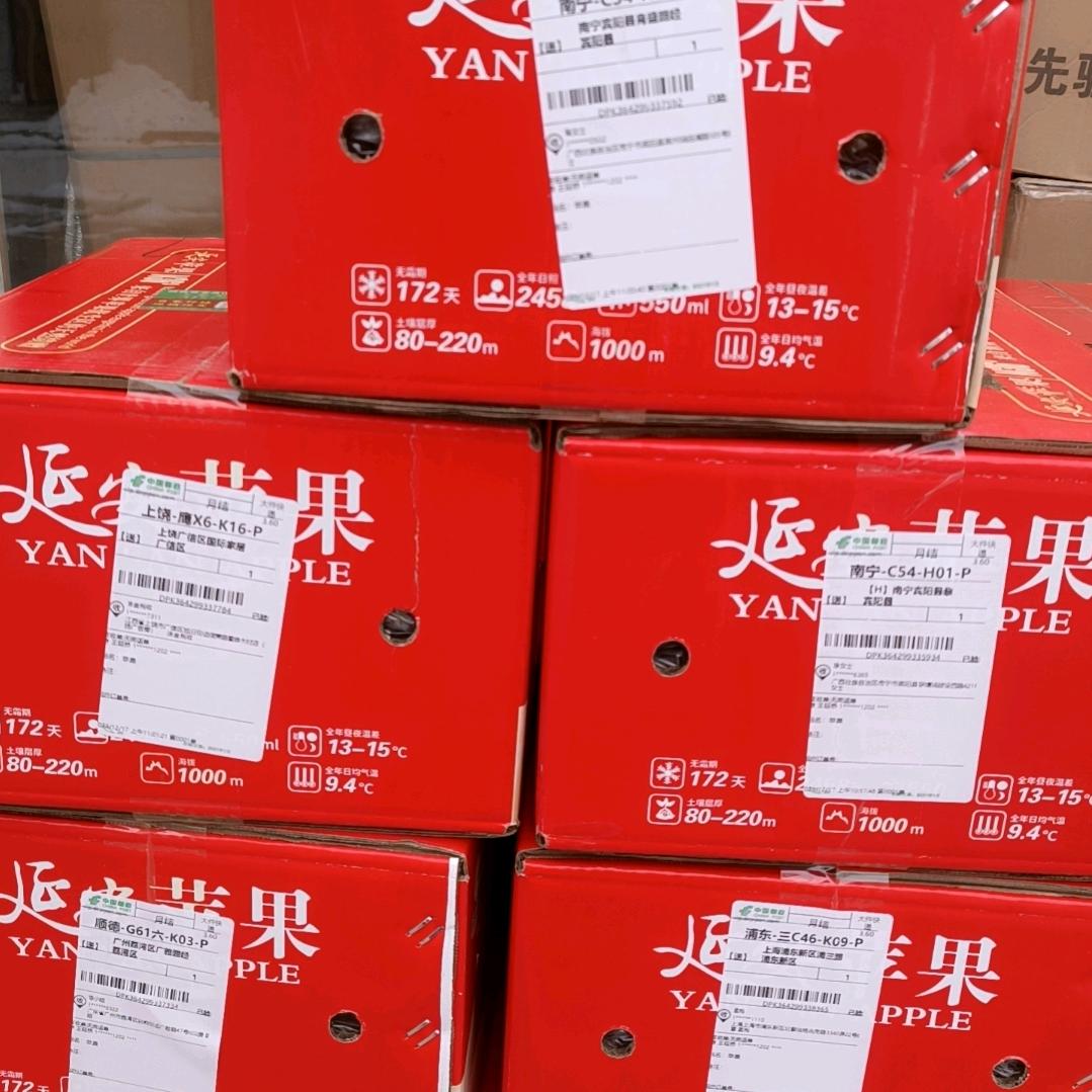 王师