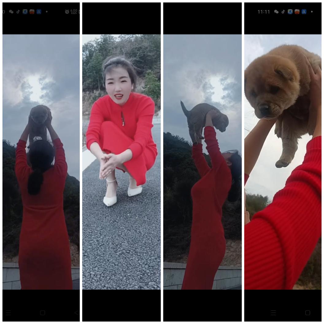 宝儿.