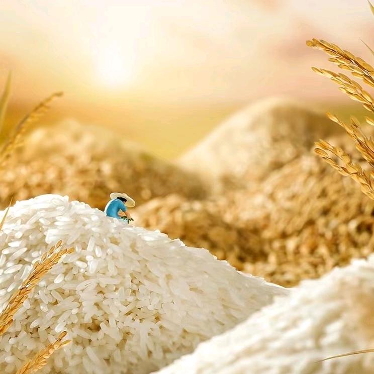 阳新县恒东粮油大米批发