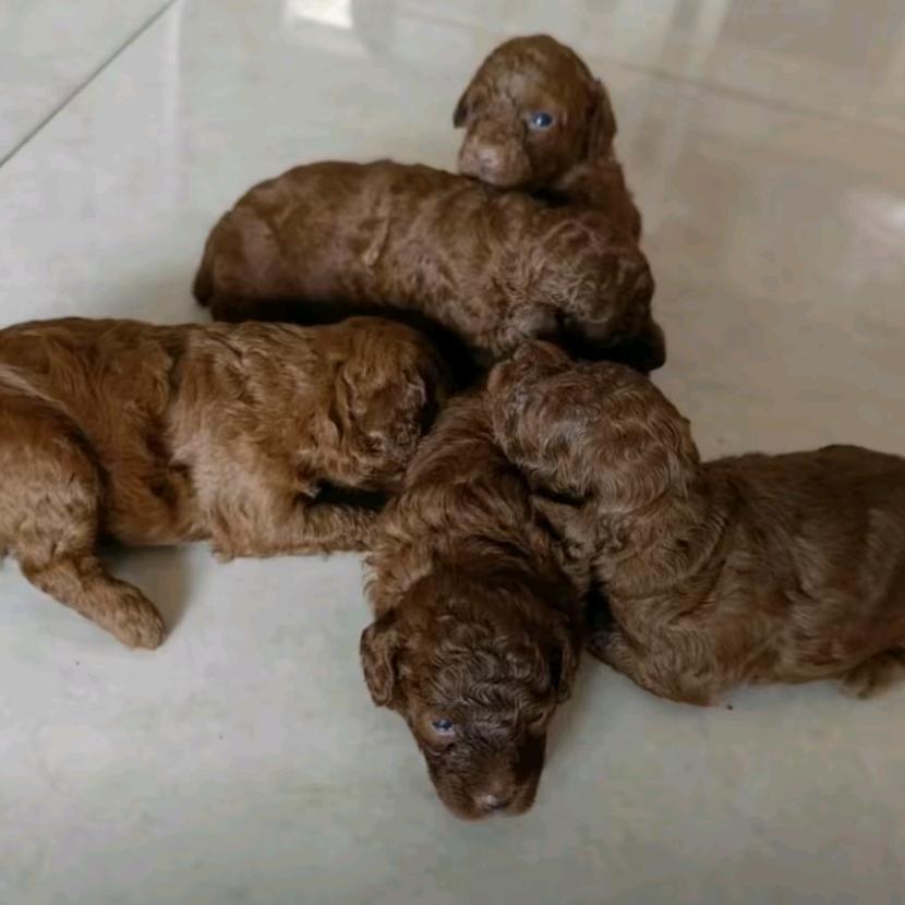 你是江城三少又如何？