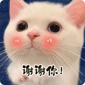 安妮（Anne）