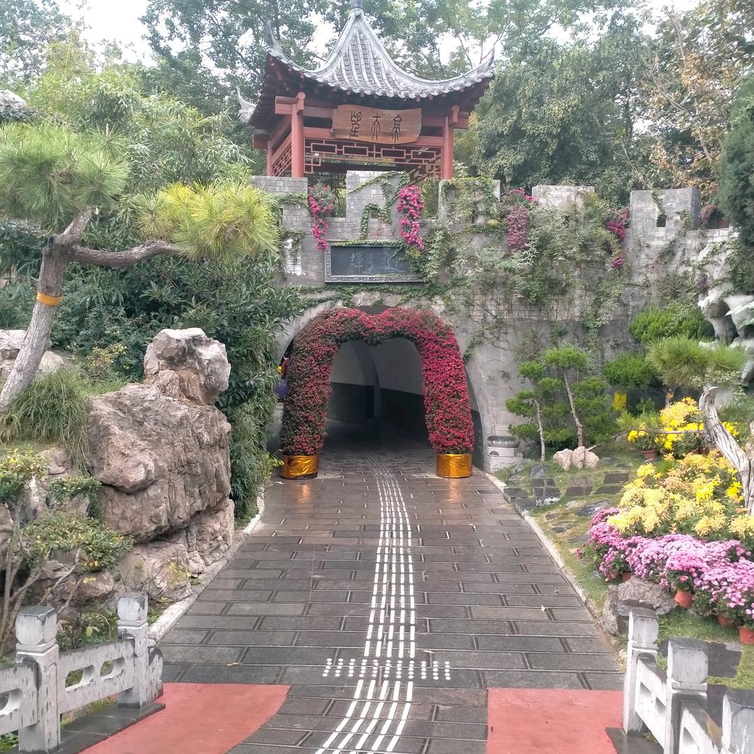 相信自己🌸🌹忘掉过去🍎