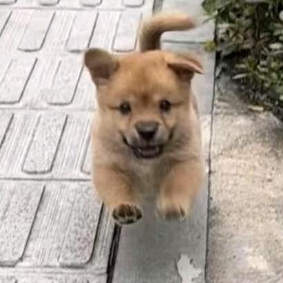 阿墨