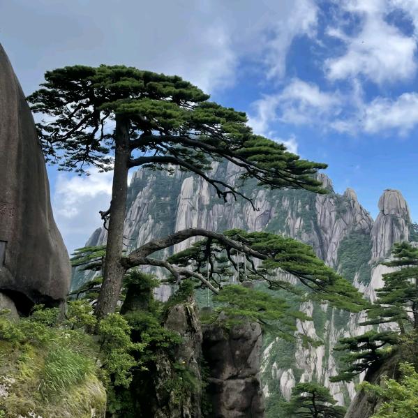 青彬