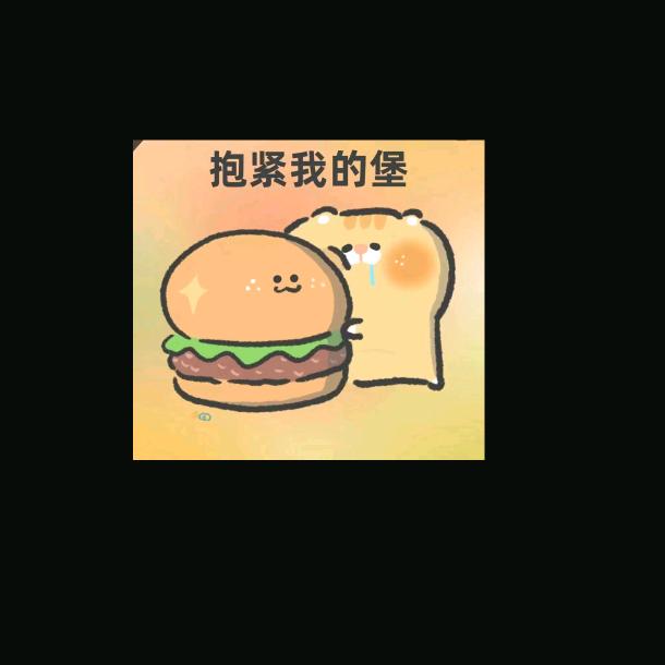周舟(汉堡🍔)