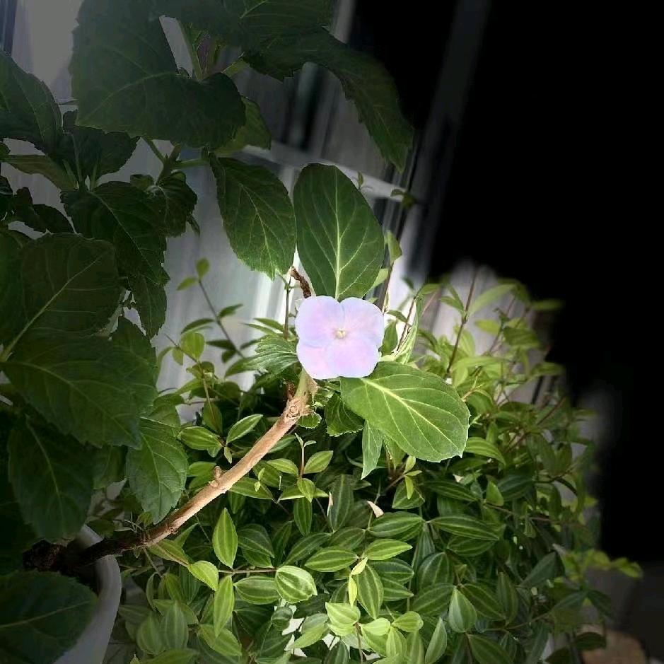 怪怪怪、