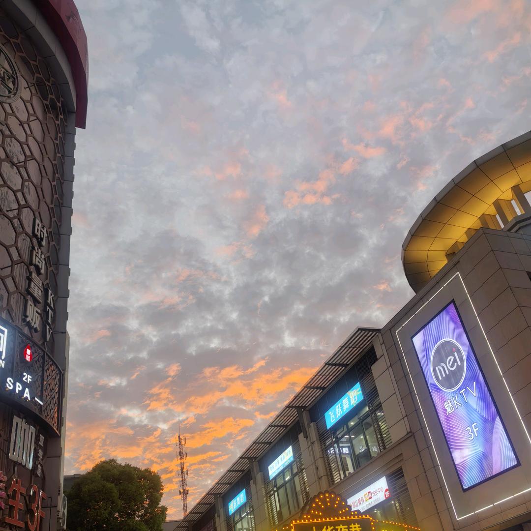 ✨余生随心🧚‍♀️