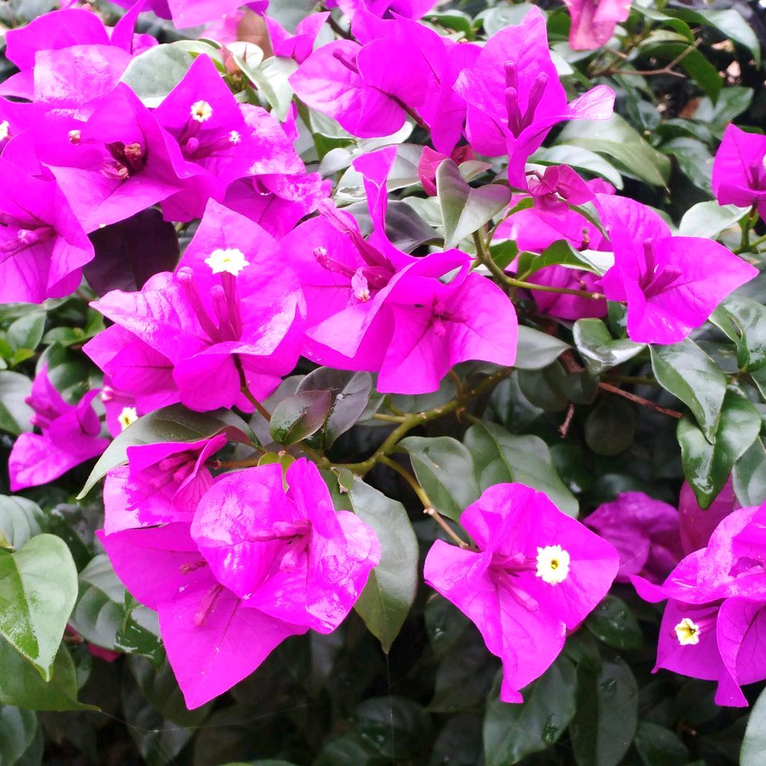 贵州贵妥豆腐坊