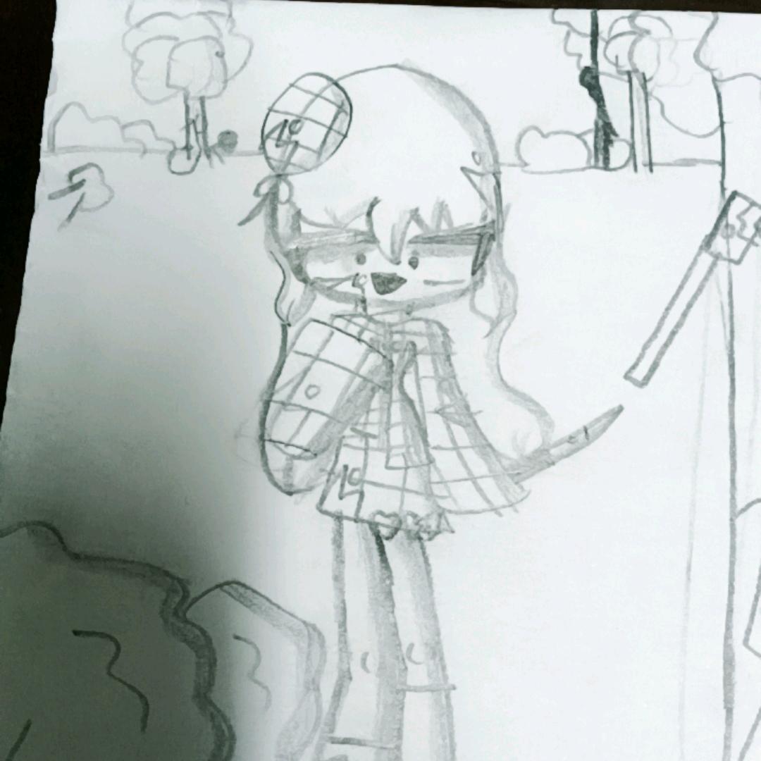 泺琪