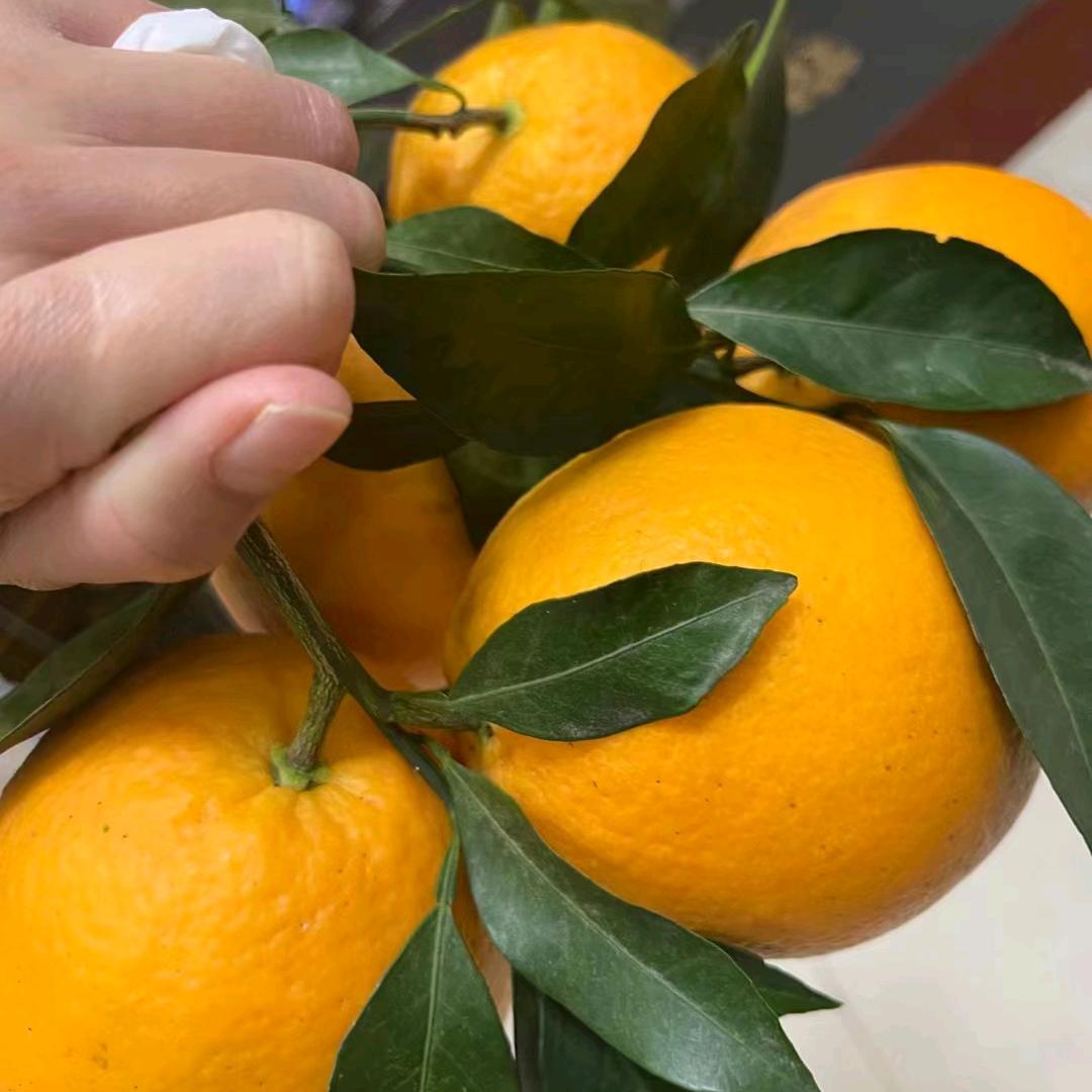 仁孝百愿成《飞虎队》