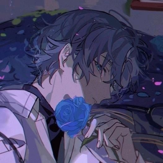 蓝染✨✨