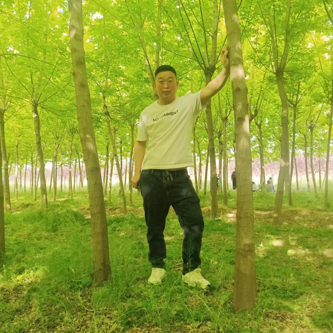王哥