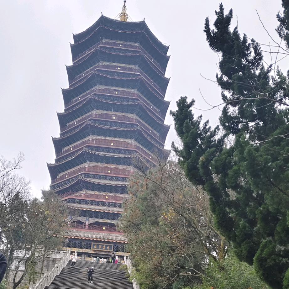 苦