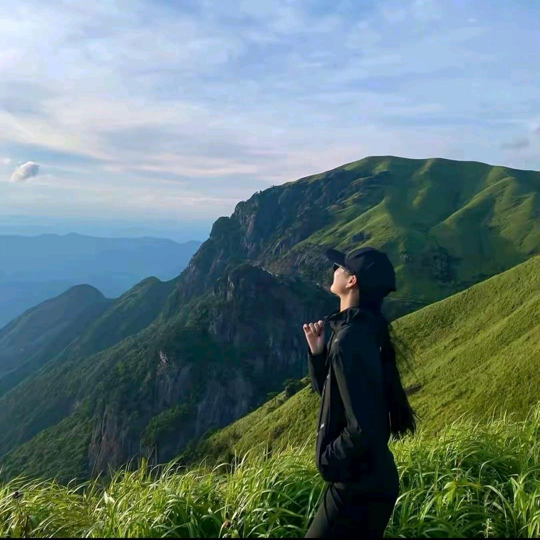 向日葵🌻