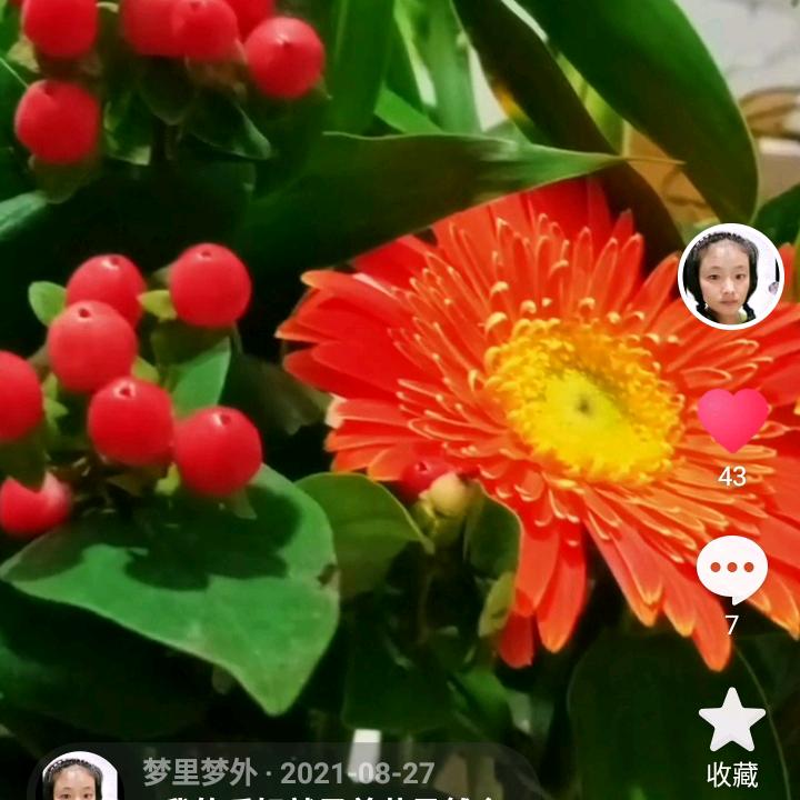 梦里，梦外