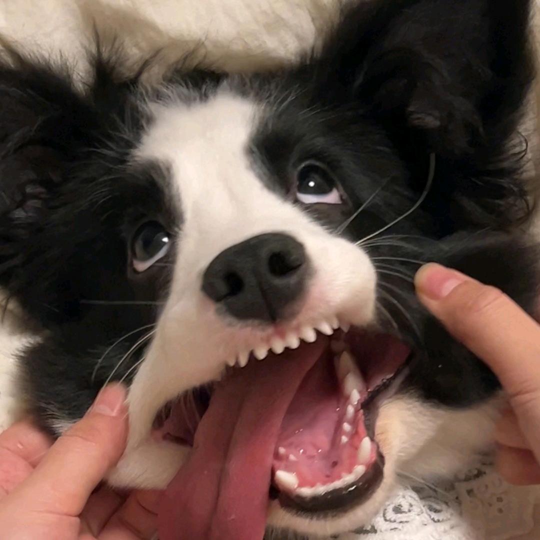 巴南