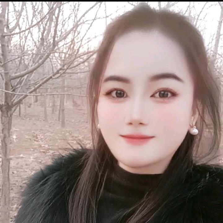 勇航苗木银杏树