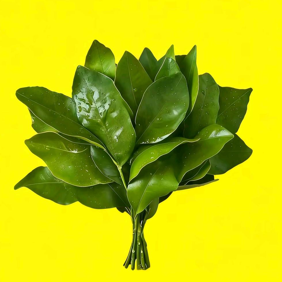 看看你的大门牙😁