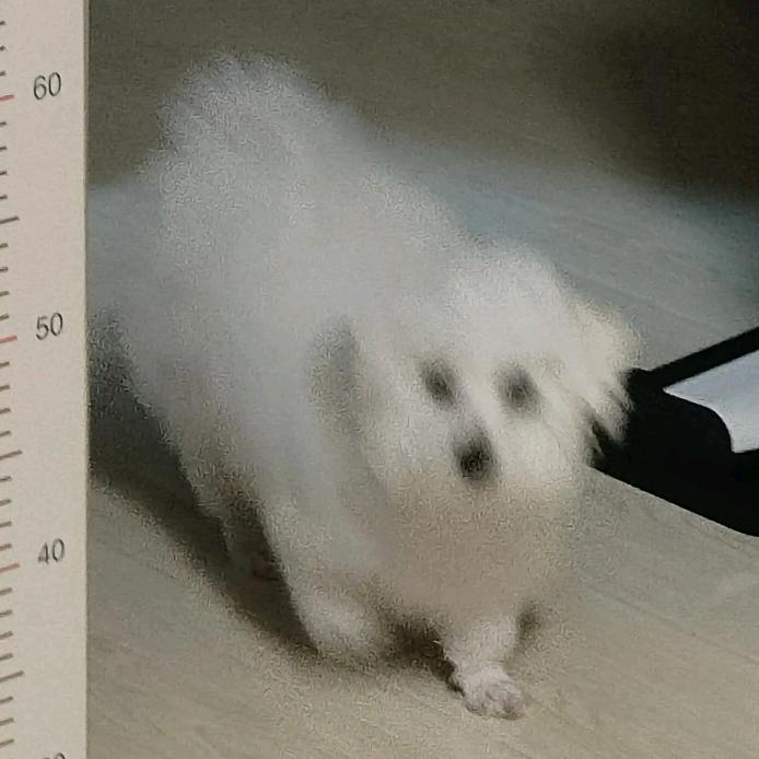 七喜