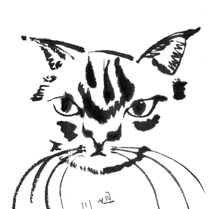 大肥烊.