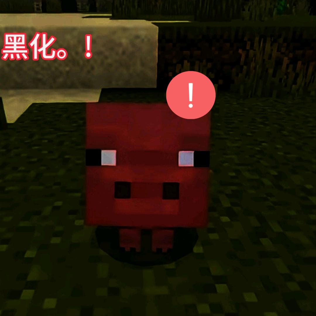 本猪(私信被封)