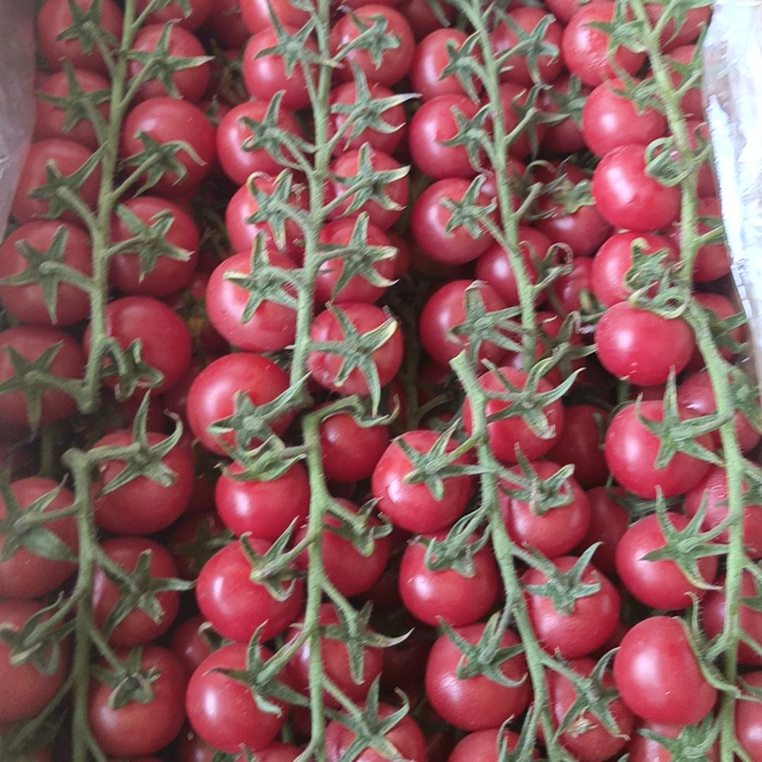 新绛县永霞种植专业合作社