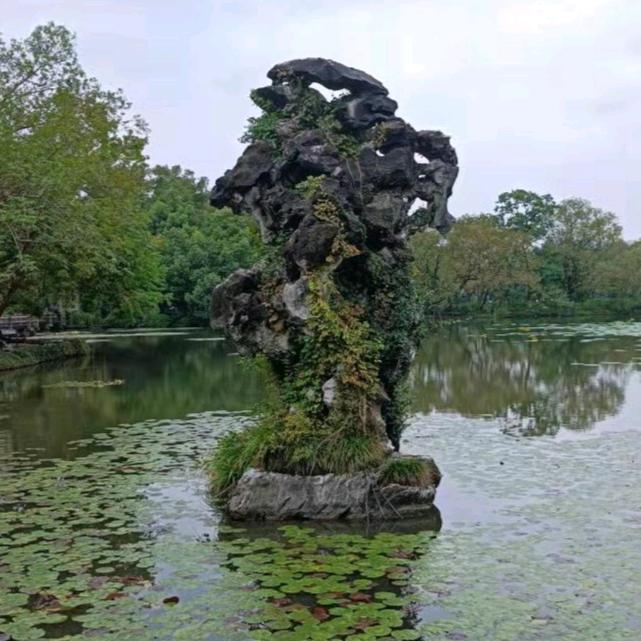 清水道人