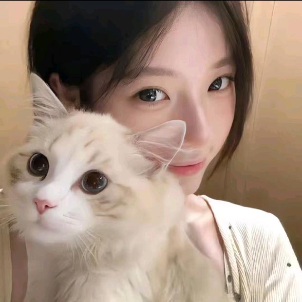 喜欢丑的.ㅤ