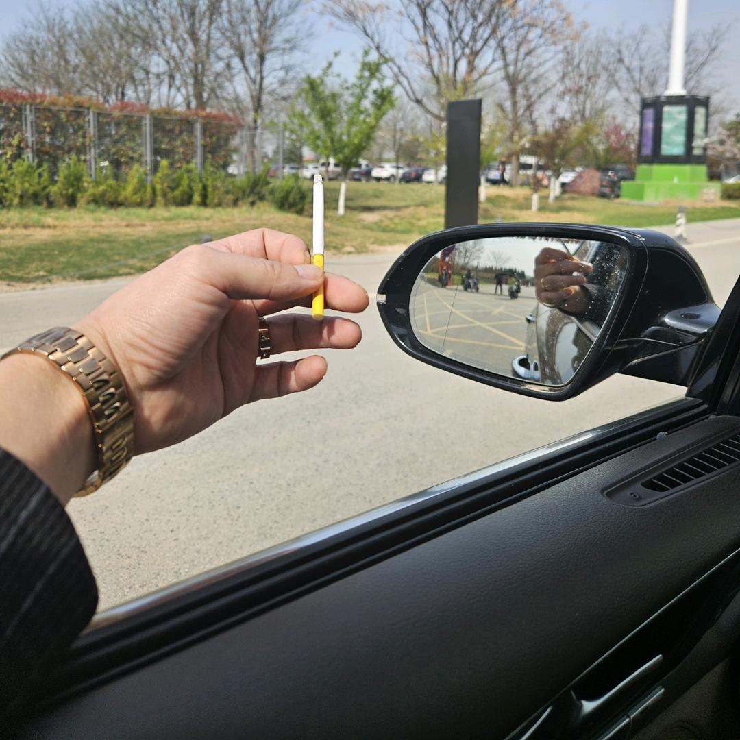 🥀⃟放手搏༒天下ഒᩚ࿐