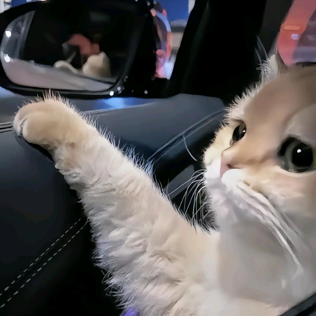 小可乐乐