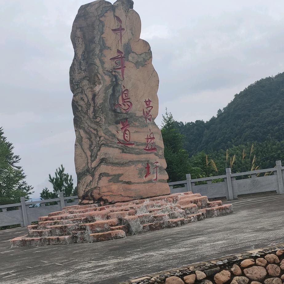 萧蓝姐