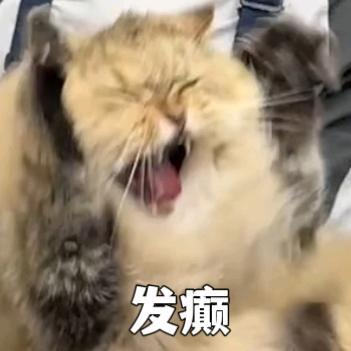 一只穷穷小猫罢了