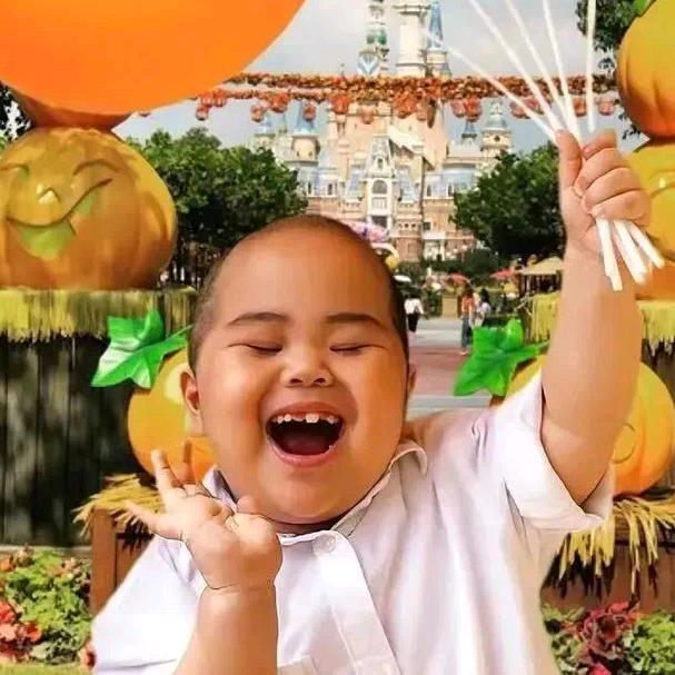 丁老的快乐日常