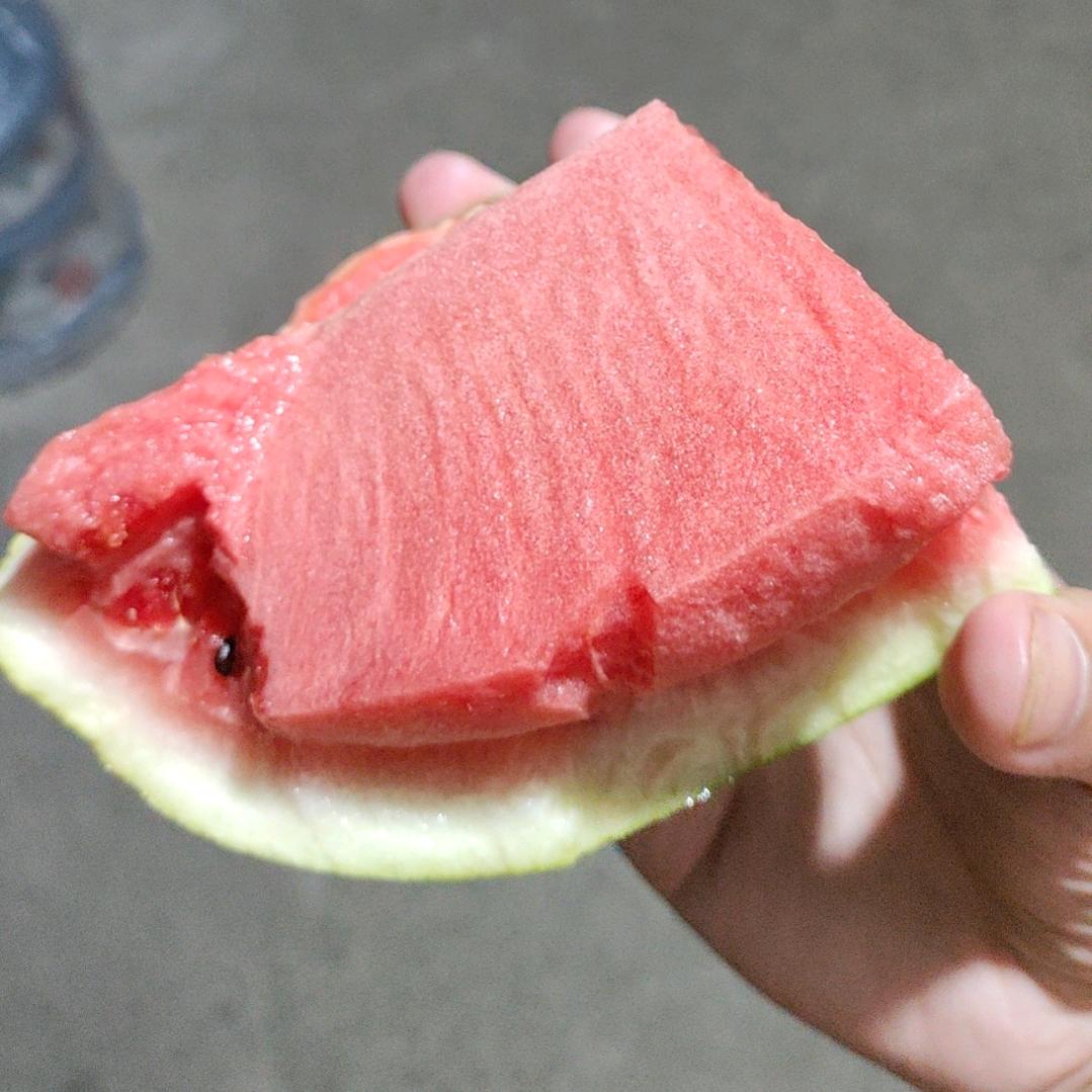 杨77