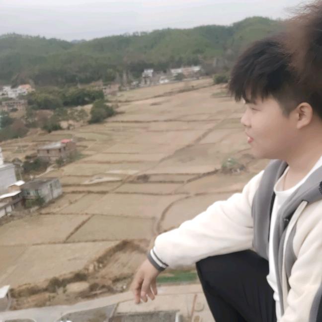 十一