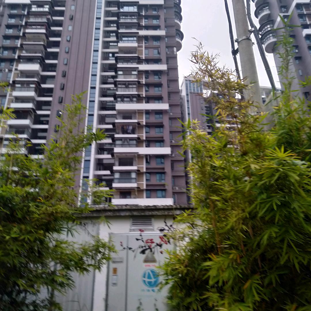 老王說故事