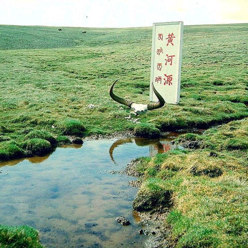 I Love❤️‍🔥黄河