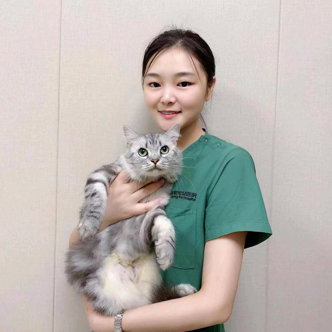 小静是宠医