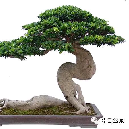 绝非偶然