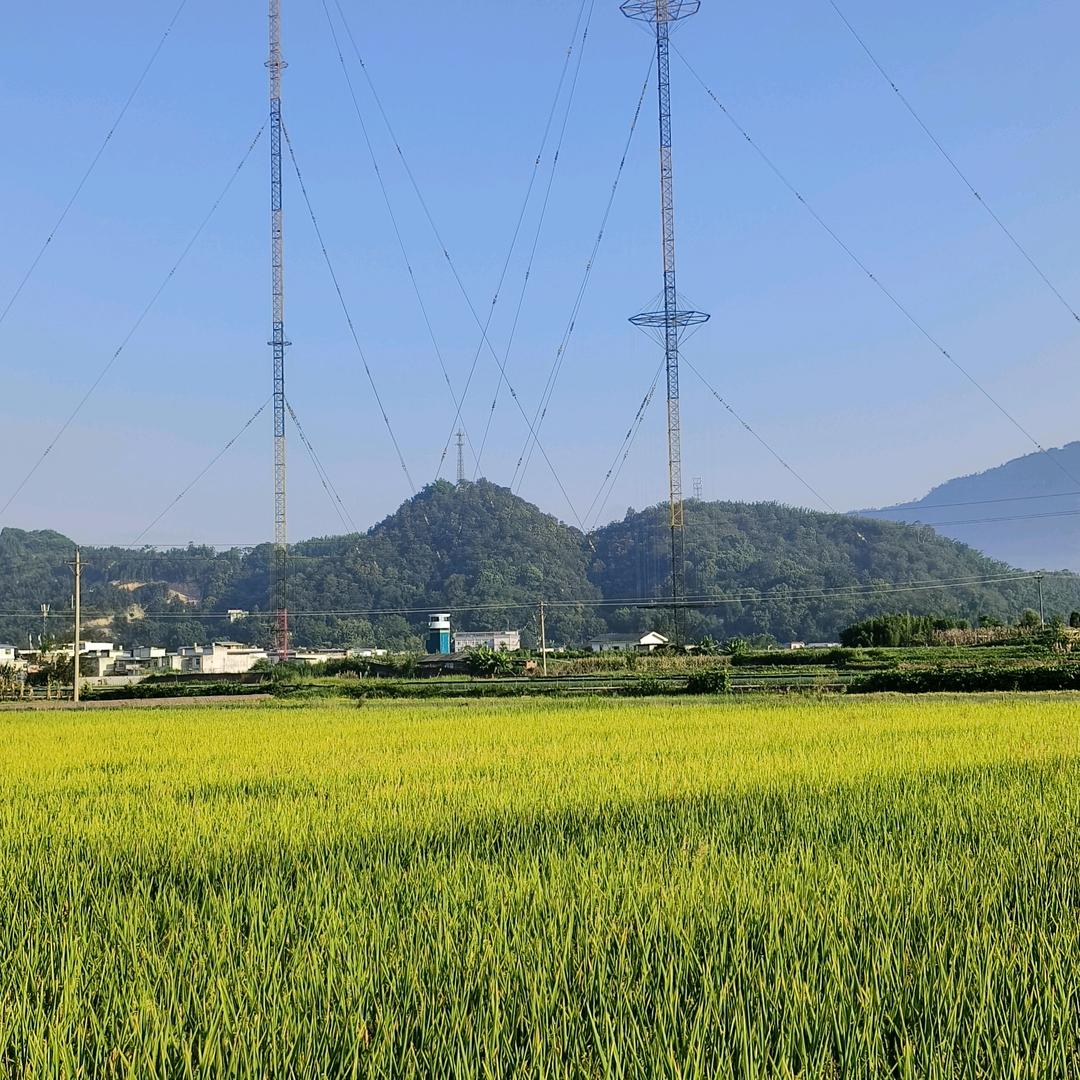 稻草人农场