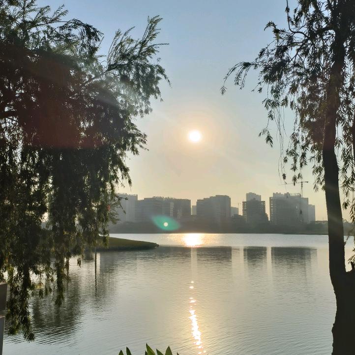 辉仔@