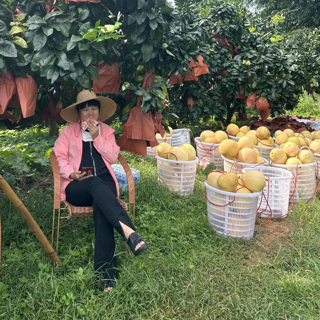 💝💝《柚浓浓》💝💝