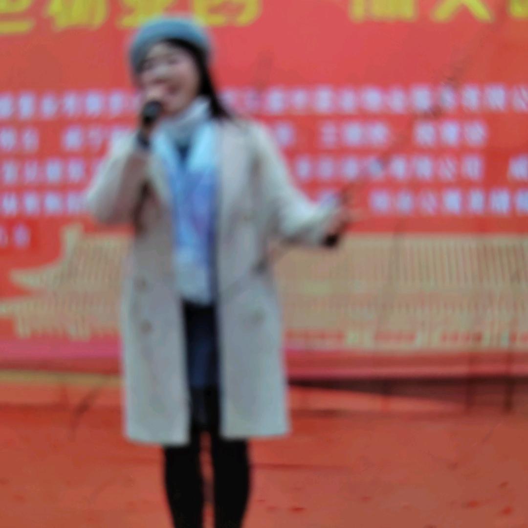 金嗓子王琳凤
