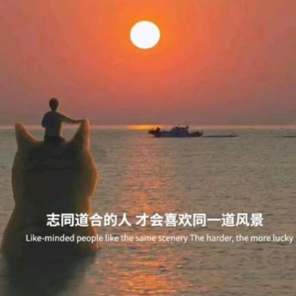 随缘.