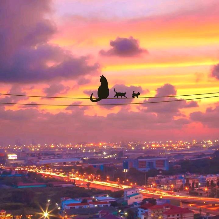 小目标围挡护栏(🇨🇳🧖)🇨🇳)