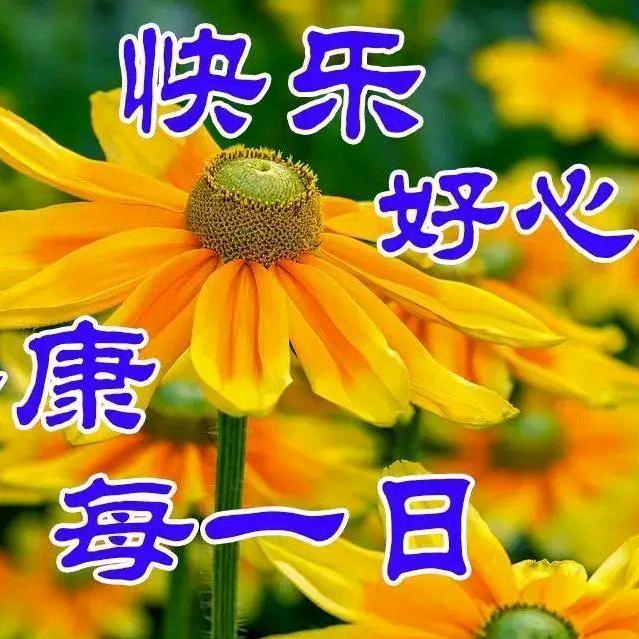 冬天的雪狼回族