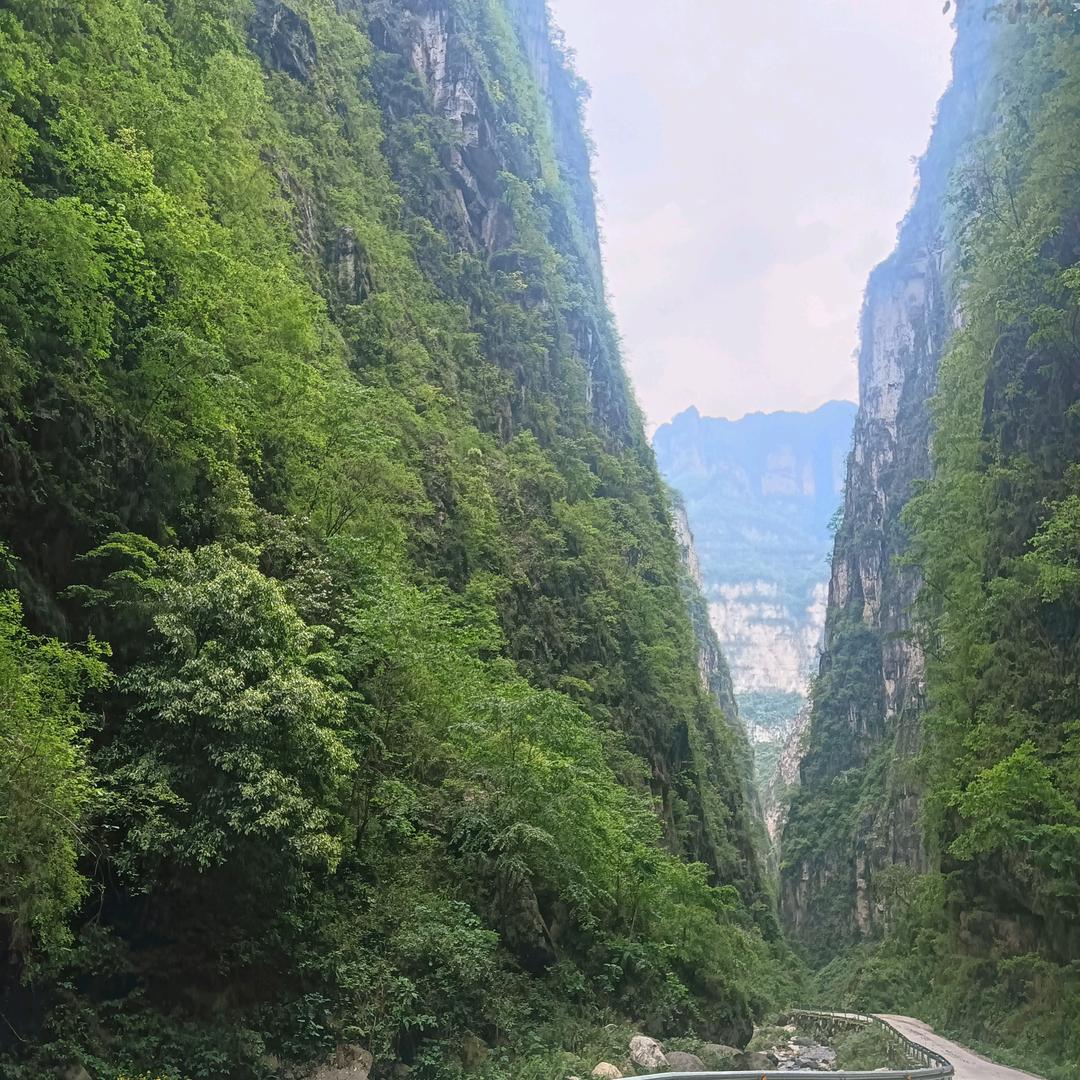 看稀奇